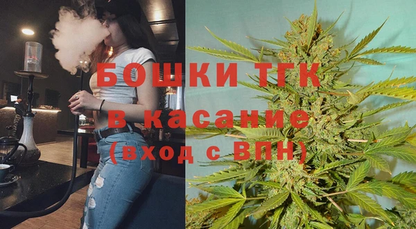 гашик Алексеевка