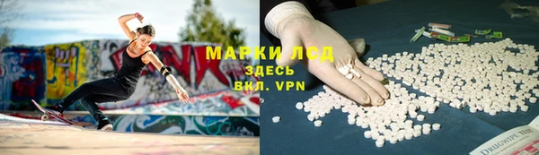 гашик Алексеевка