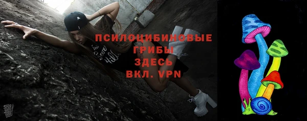 гашик Алексеевка
