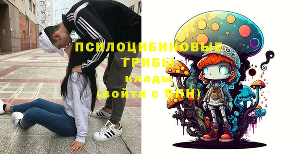 a pvp Алексин