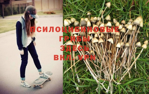 a pvp Алексин
