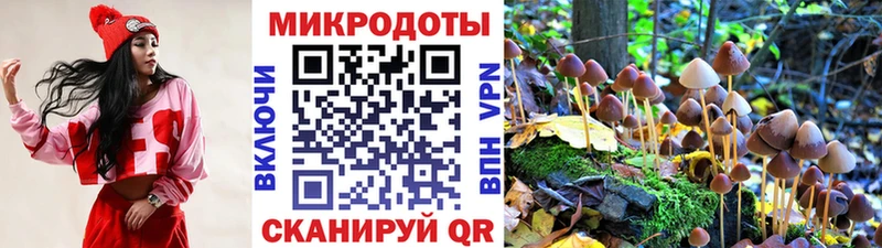 Псилоцибиновые грибы Magic Shrooms Ликино-Дулёво